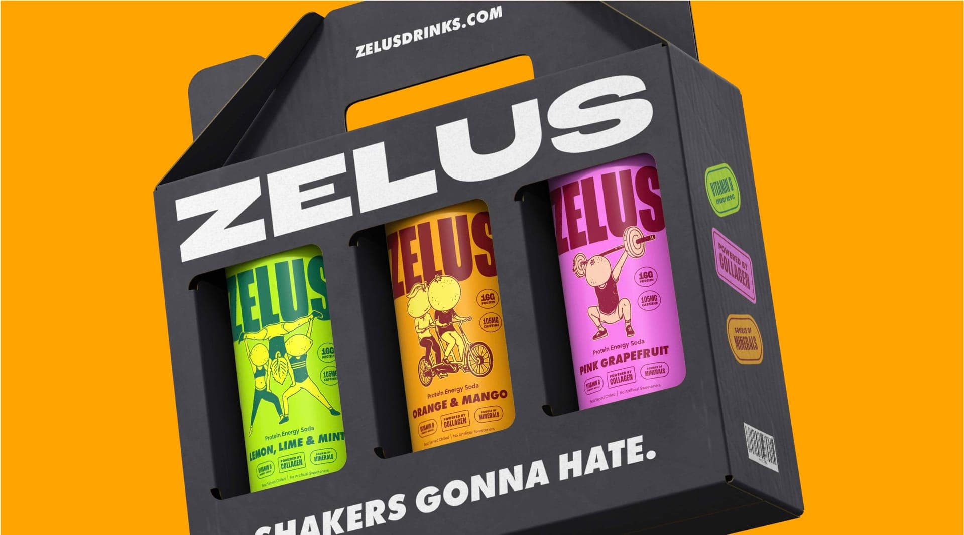 Zelus Brand Evolution